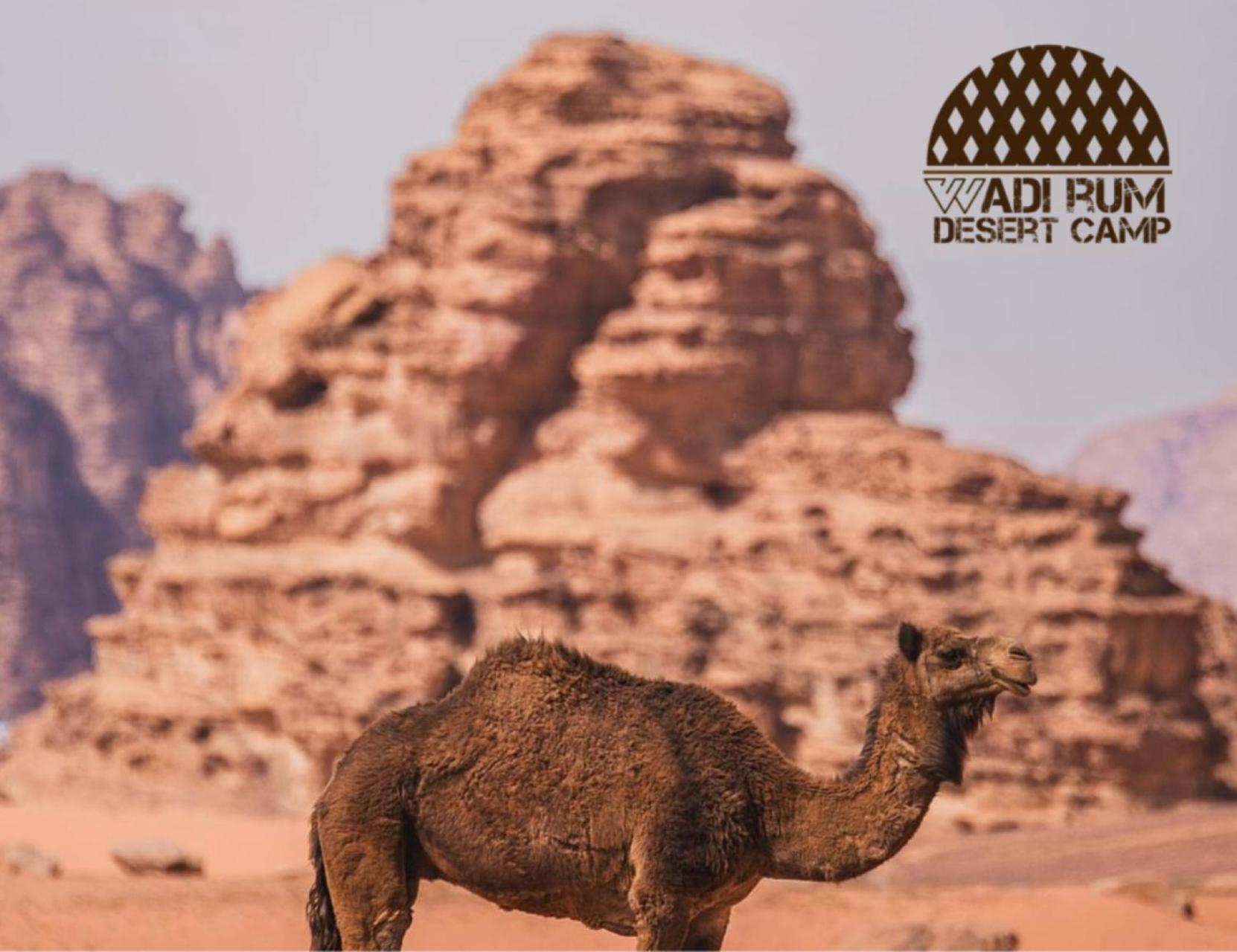 Rum Mere Luxury Camp Wadi Rum Extérieur photo